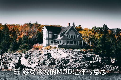玩 游戏常说的MOD是神马意思