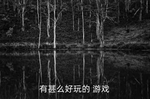 有甚么好玩的 游戏