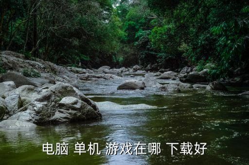 电脑 单机 游戏在哪 下载好