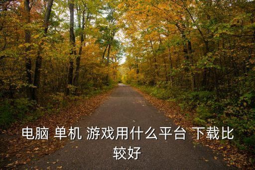 电脑 单机 游戏用什么平台 下载比较好