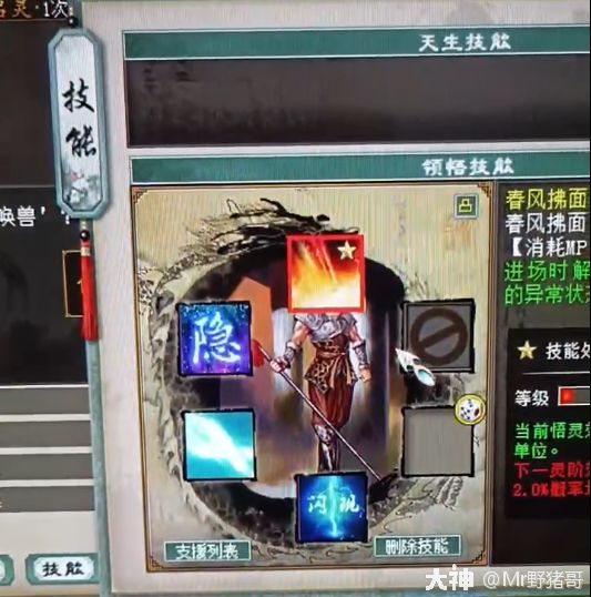 免点卡还能优先体验新玩法？内部人员集中地——游戏试玩服务器揭秘_大话西游2 | 大神