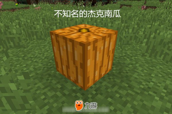 我的世界:你肯定不知道的五种隐藏方块获取方法,第四种太稀缺