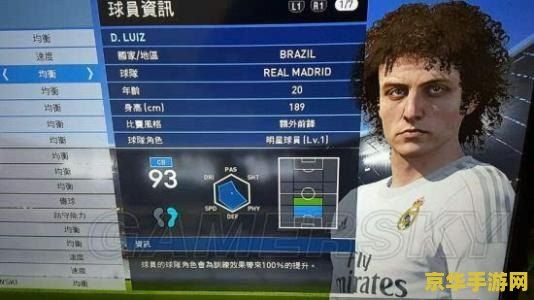 实况足球2013 转会补丁 实况足球2013:深度转会补丁解析与游戏魅力探索