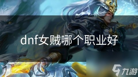 dnf女贼哪个职业好