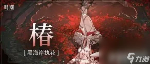 鸣潮洛可可这一角色如何进行阵容搭配 角色阵容搭配介绍