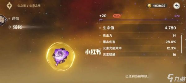 《原神赛诺圣遗物选择推荐指南》(如何选择适合赛诺角色的圣遗物)