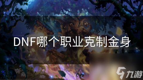DNF哪个职业克制金身