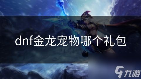 dnf金龙宠物哪个礼包