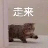 江湖悠悠江湖萌新需知!