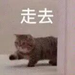 江湖悠悠江湖萌新需知!