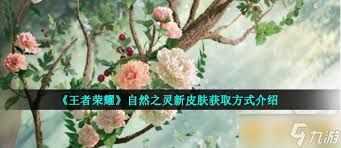 王者荣耀自然之灵皮肤怎么获得