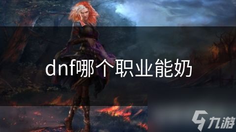 dnf哪个职业能奶
