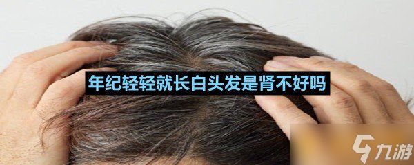 年纪轻轻就长白头发是肾不好吗