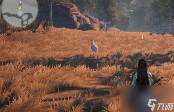 燕云十六声脂尾羊刷取方法