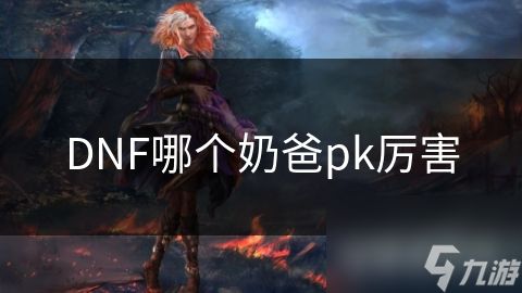 DNF哪个奶爸pk厉害