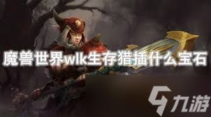 魔兽世界WLK怀旧服：兽王猎宝石选择全攻略！