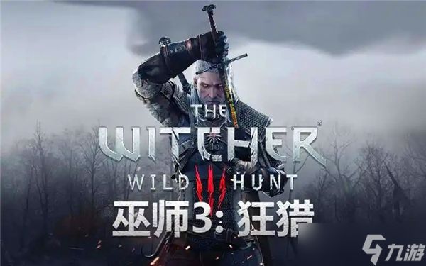 巫师3在战斗中失踪支线任务流程