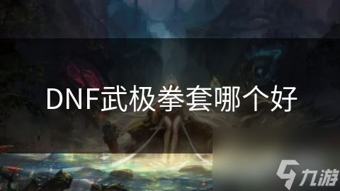 DNF武极拳套哪个好