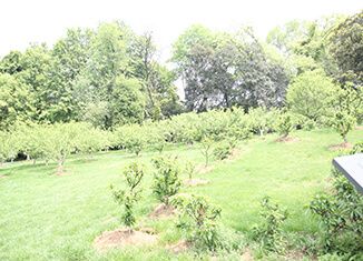 感动中国人物作文素材,2022高考作文素材,2021感动中国人物作文素材汇总