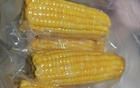 市面上的包装玉米是“僵尸玉米”？真相来了！