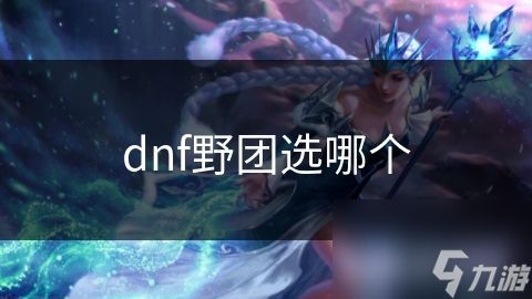 dnf野团选哪个