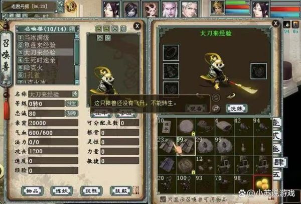 大话西游2游戏里的特殊设定，10年老玩家也不一定全部了解-有驾