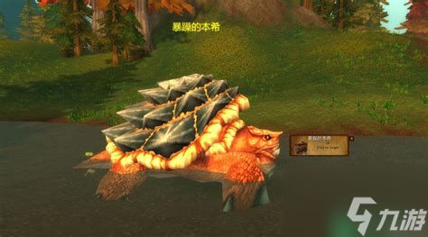 魔兽世界怀旧服龟壳在哪里刷