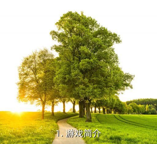 1. 游戏简介