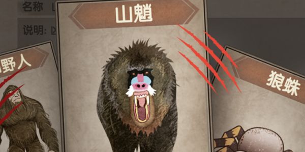 荒岛生存指南游戏