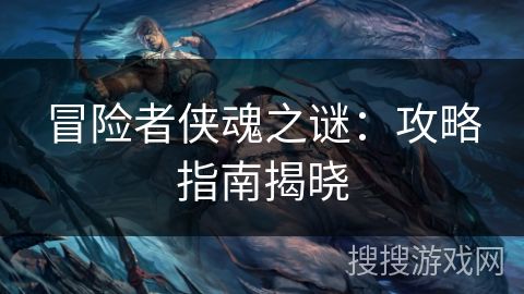冒险者侠魂之谜：攻略指南揭晓
