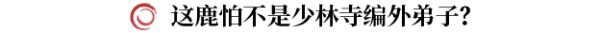 剑灵2手游鹿角大王怎么打 鹿角大王机制|爆率|打法全攻略