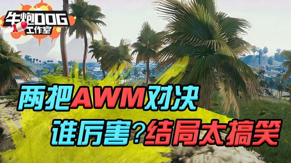 绝地求生：一局游戏两把AWM决赛圈交锋 谁胜谁负？