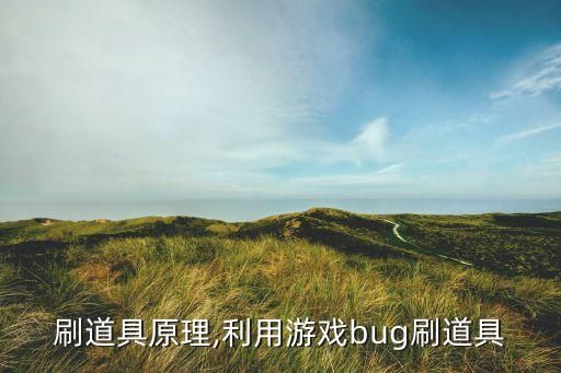 刷道具原理,利用游戏bug刷道具