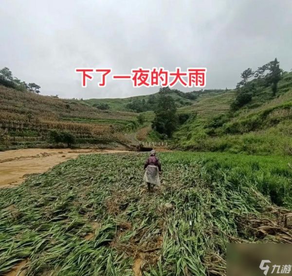 金垦小镇怎么种地？有哪些高效种植技巧？