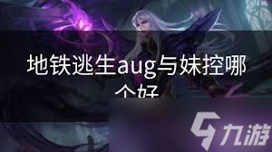 地铁逃生中aug与妹控谁更胜一筹？aug和妹控对比大