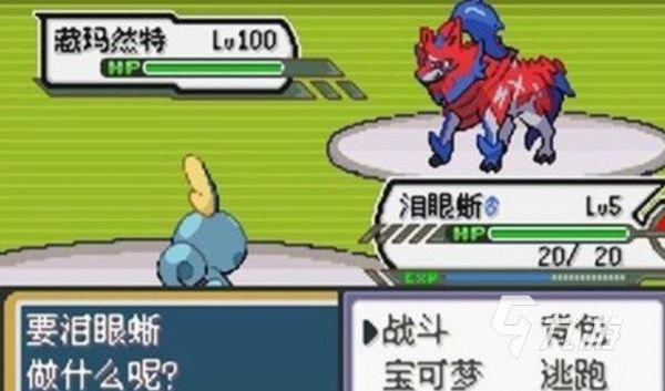 经典的单机回合制游戏排行榜 热门的回合制游戏大全2024