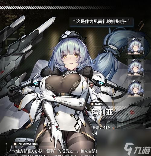 苍雾世界小队大全如何搭配？小队搭配的策略是什么？