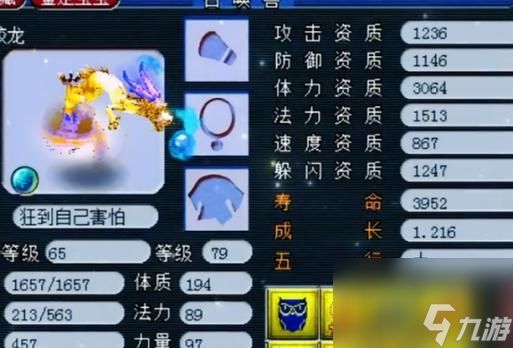 梦幻西游中乖乖蛟龙的战斗策略是什么?