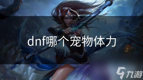 dnf哪个宠物体力