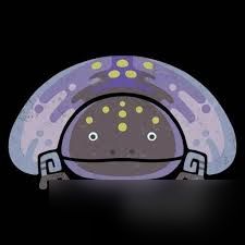 怪物猎人荒野胶鲵在哪