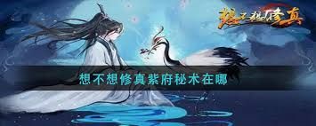 想不想修真游戏中紫府位置在哪里