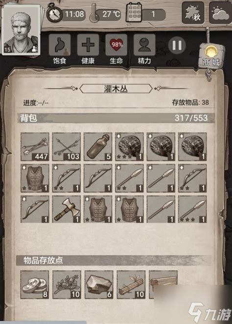 荒野日记前期攻略荒野日记前期攻略图文