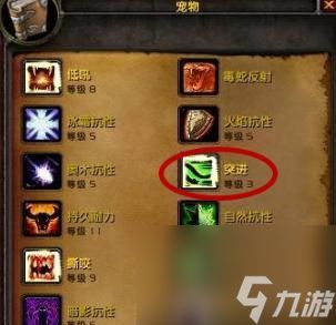 魔兽世界蝎子宝宝升级方法有哪些?