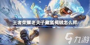 <a id='link_pop' class='keyword-tag' href='https://www.9game.cn/wzry/'>王者荣耀</a>老夫子藏狐皮肤值得入手吗