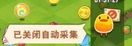 小森灵自动采集功能如何关闭？教你轻松关闭自动采集