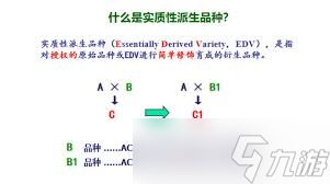 原来的什么是实质性?