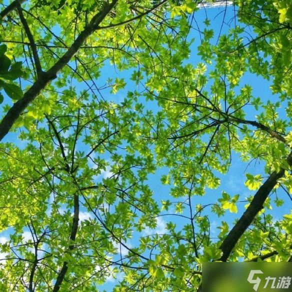 《英雄联盟》2025最新男昵称有品位的一览