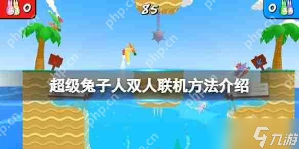 疯狂兔子人怎么联机-疯狂兔子人双人联机攻略