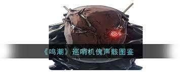 鸣潮2.1巨布偶声骸属性是什么