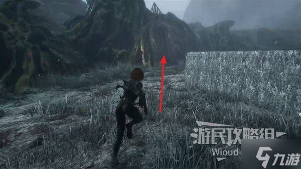 《光与影33号远征队》玛埃尔穿雪获取方法 穿雪属性及词条一览